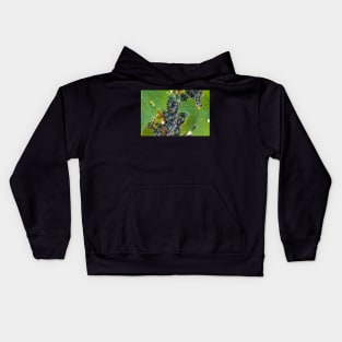 grapes Kids Hoodie